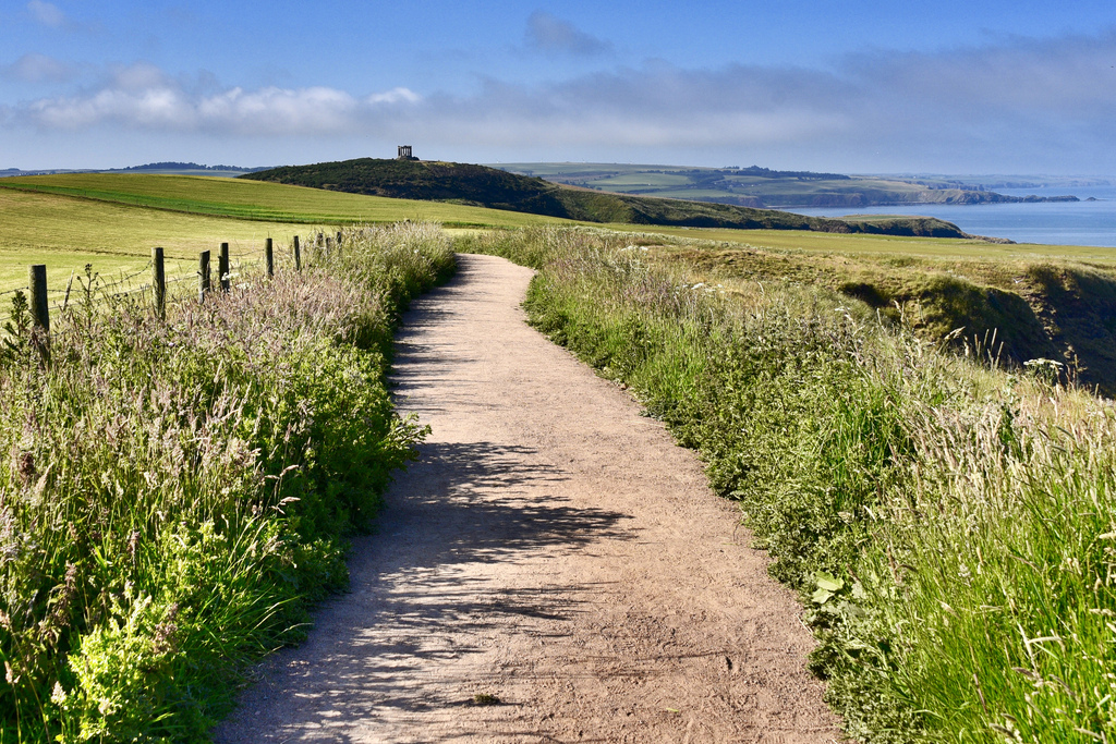 Camino de Stonehaven