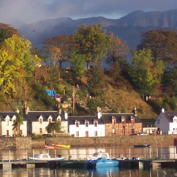 calums-seal-trips-plockton