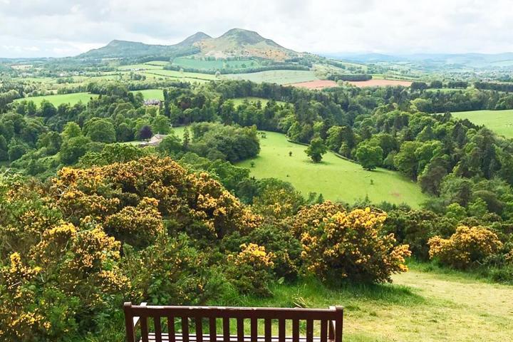 a wooden bench sitting on top of a lush green field