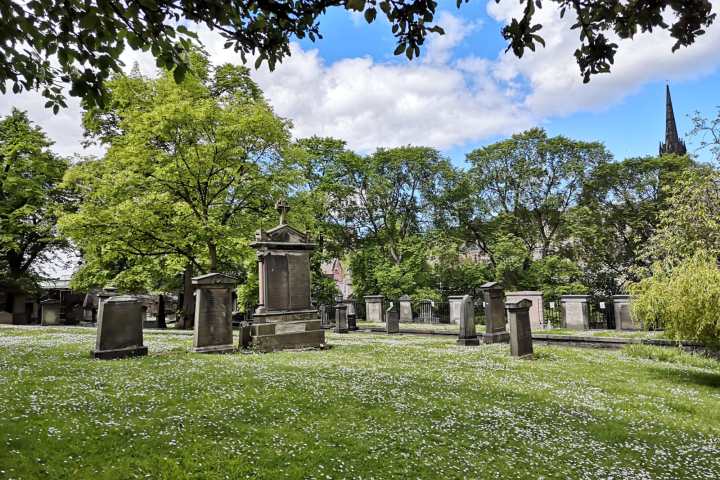 a large tree in a park