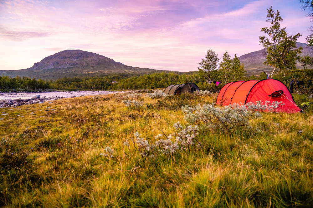 Tents on grassy field with mountains and trees under a pink sunset sky.